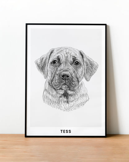 Pet Portrait Sketch