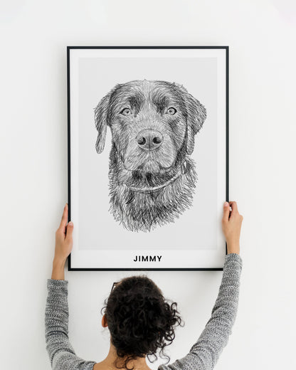 Pet Portrait Sketch