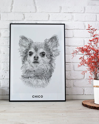Pet Portrait Sketch