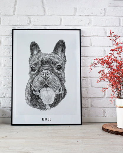 Pet Portrait Sketch