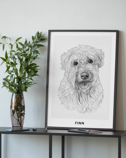 Pet Portrait Sketch