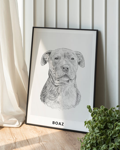 Pet Portrait Sketch