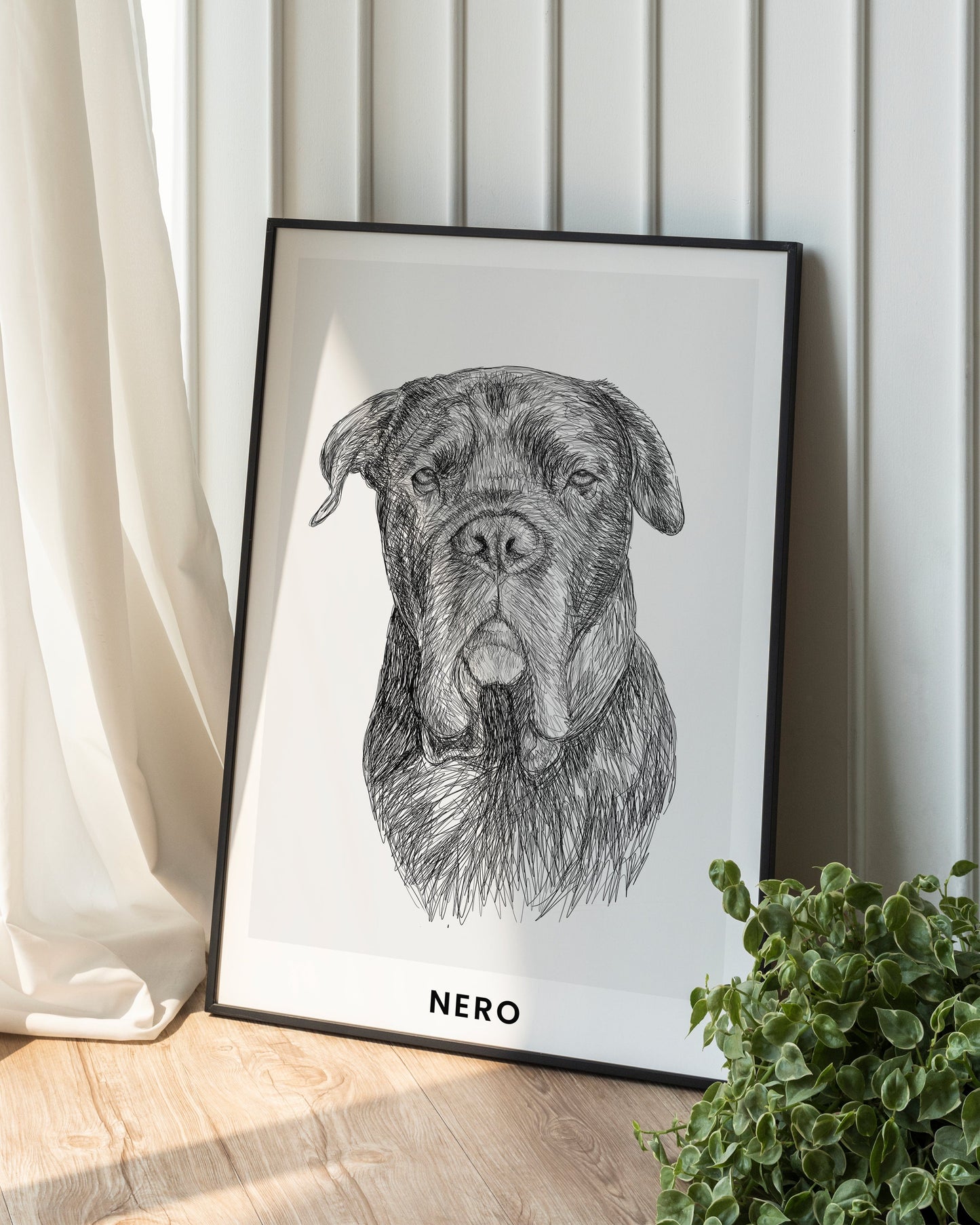 Pet Portrait Sketch