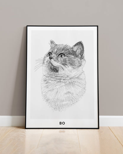 Pet Portrait Sketch