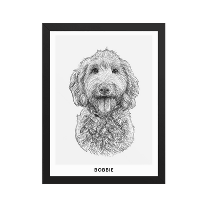 Pet Portrait Sketch