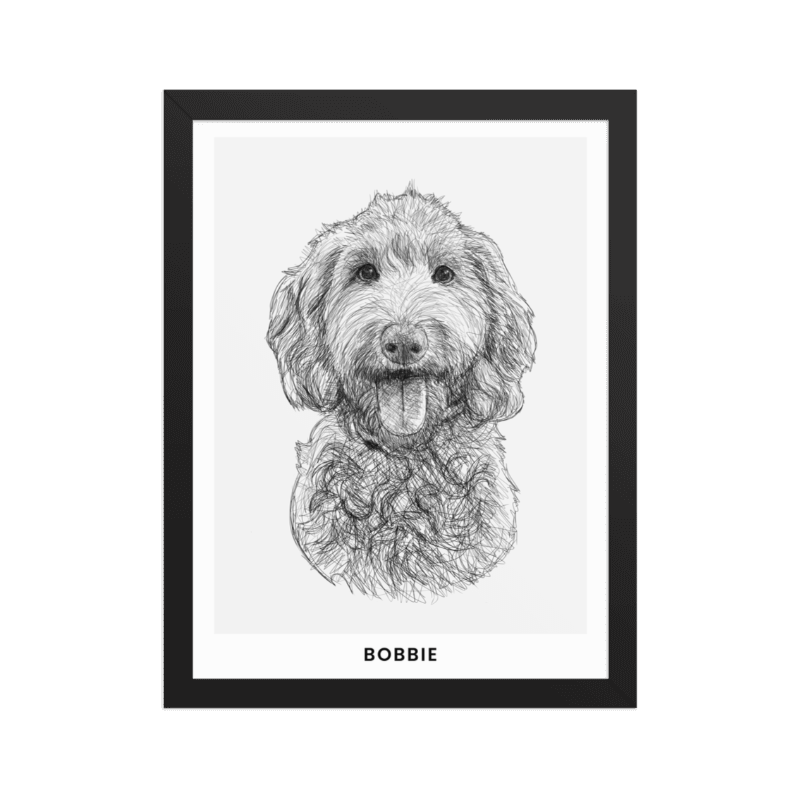 Pet Portrait Sketch
