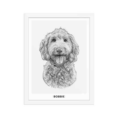 Pet Portrait Sketch