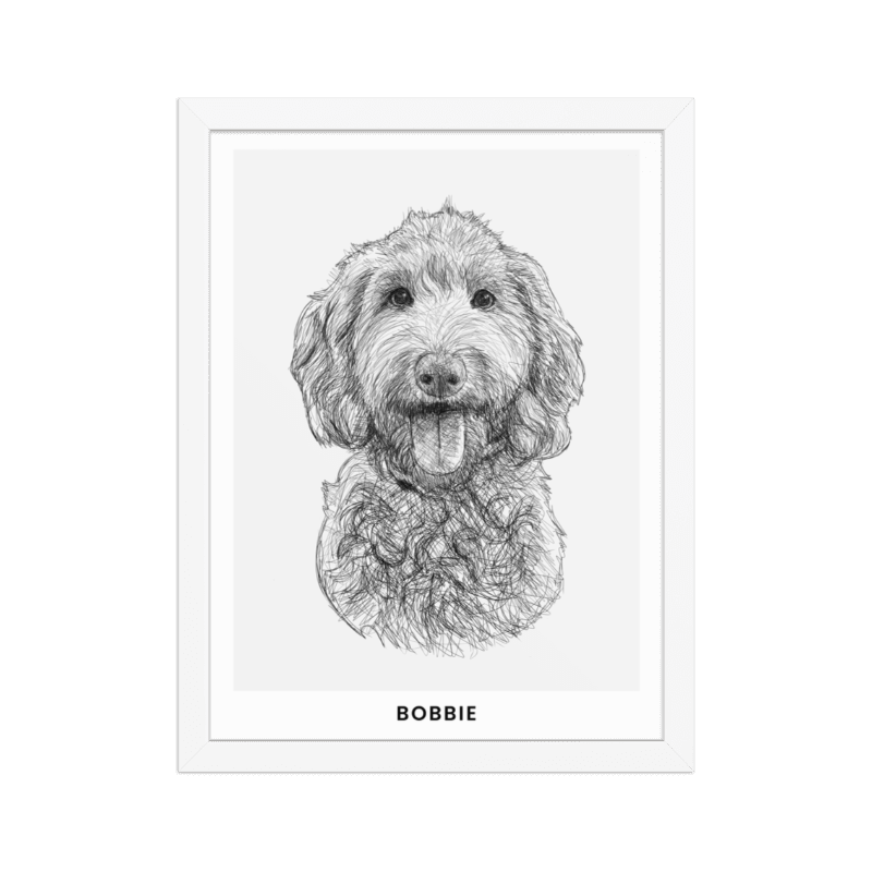 Pet Portrait Sketch