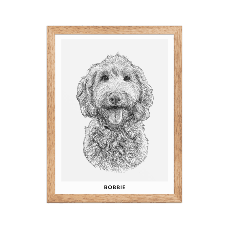 Pet Portrait Sketch