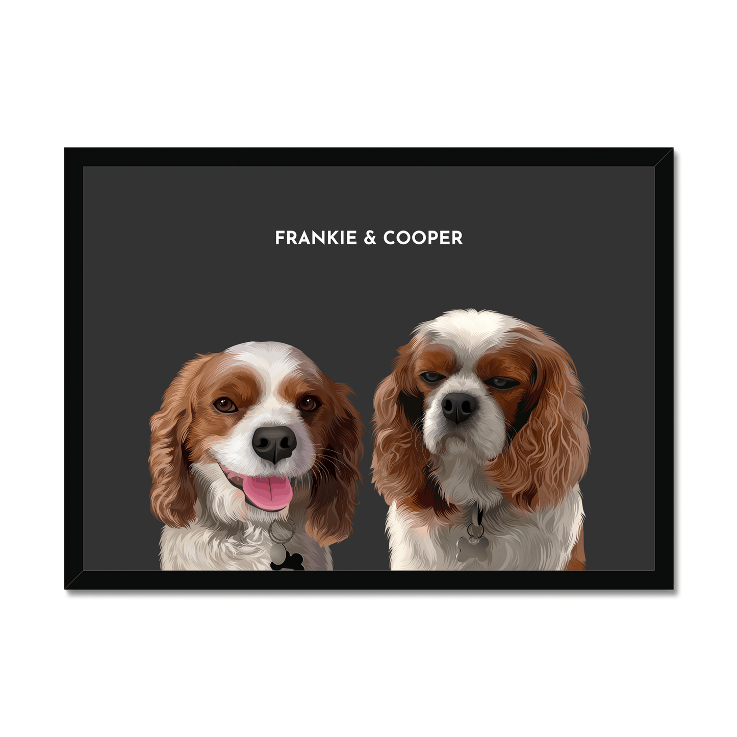 Two-Pet Portrait