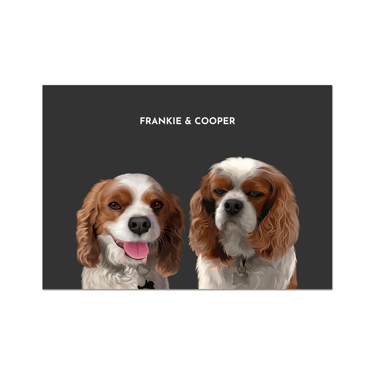 Two-Pet Portrait