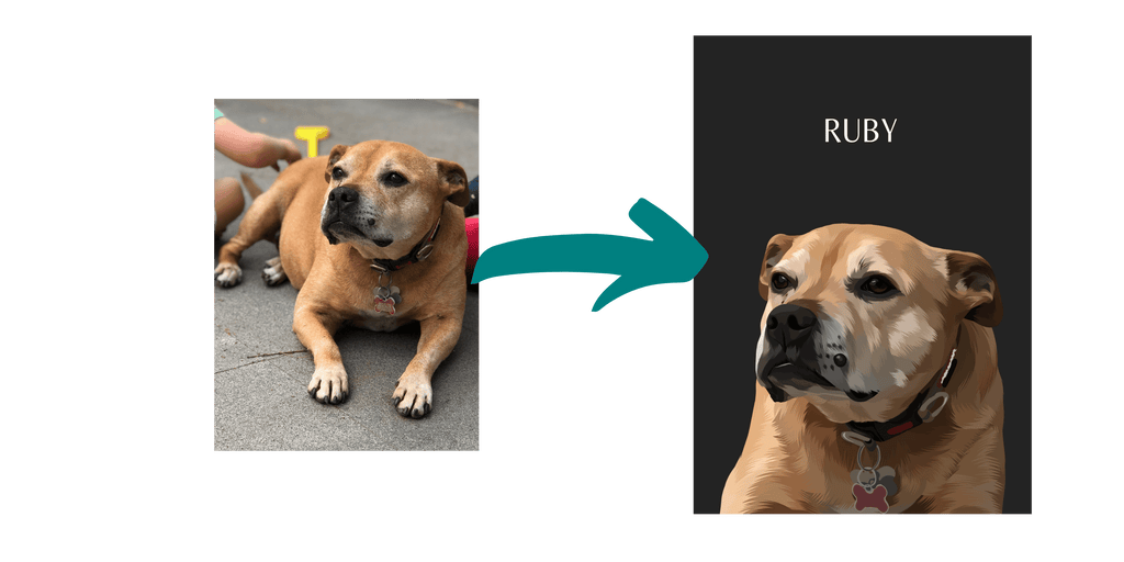pet portrait before and after example